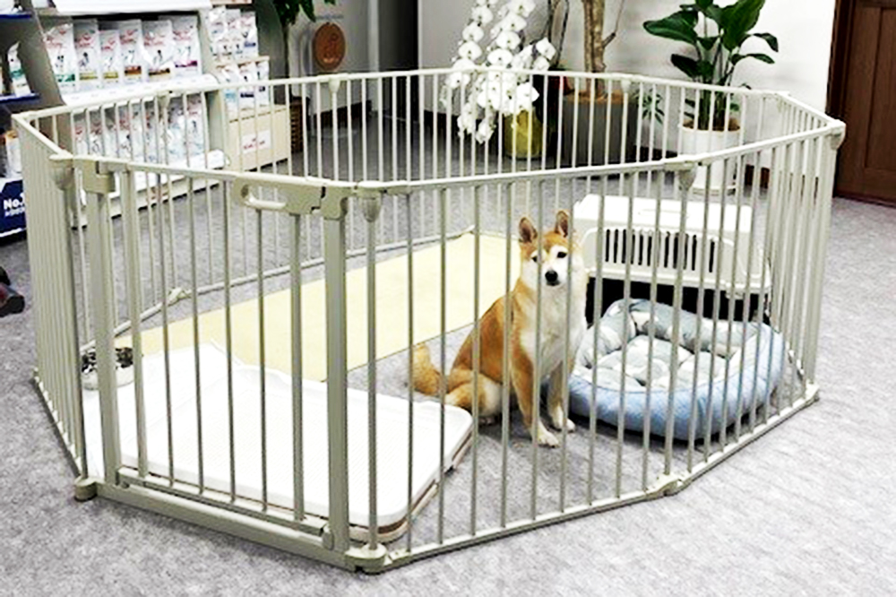 ペットホテル