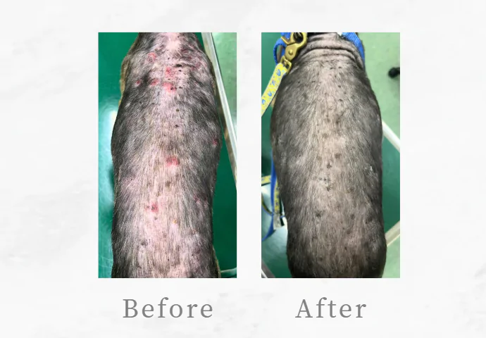 夏の皮膚トラブル、繰り返す前に早めのケアを☆